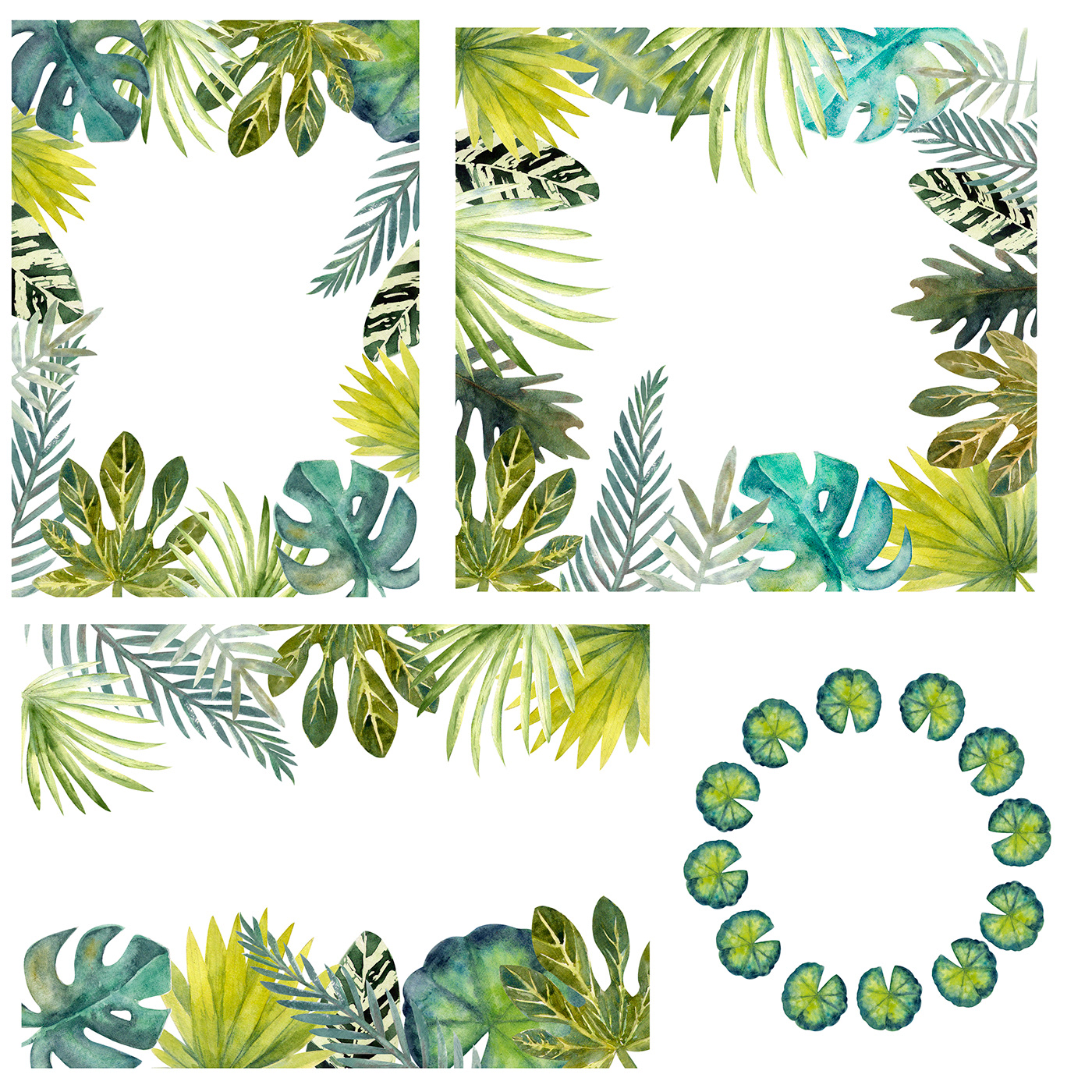 Tropical Leaves