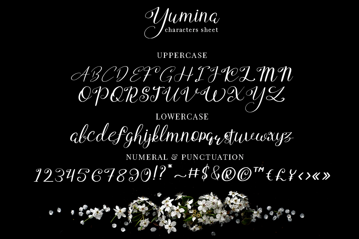 Yumina Yumina