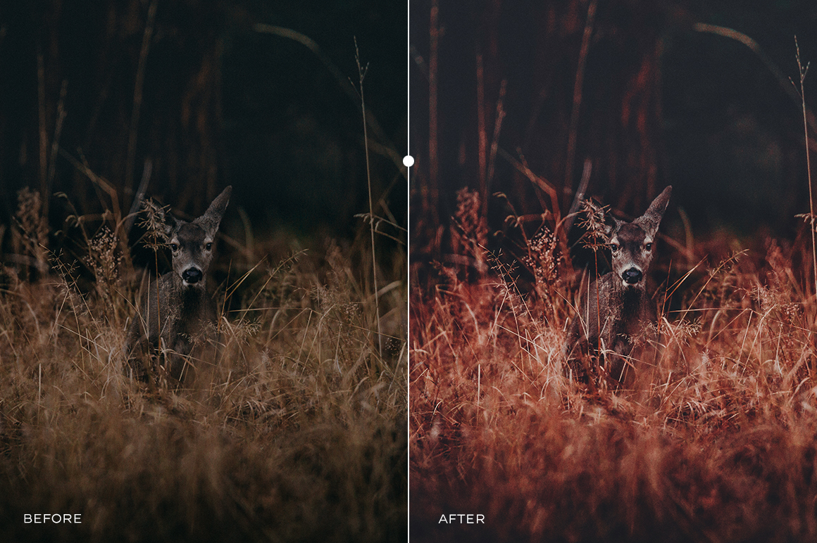Pastel Travel Lightroom Presets Pastel Travel Lightroom Presets
