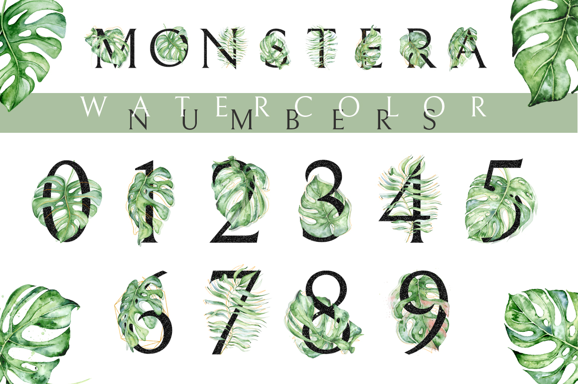 Monstera Watercolor Black Alphabet