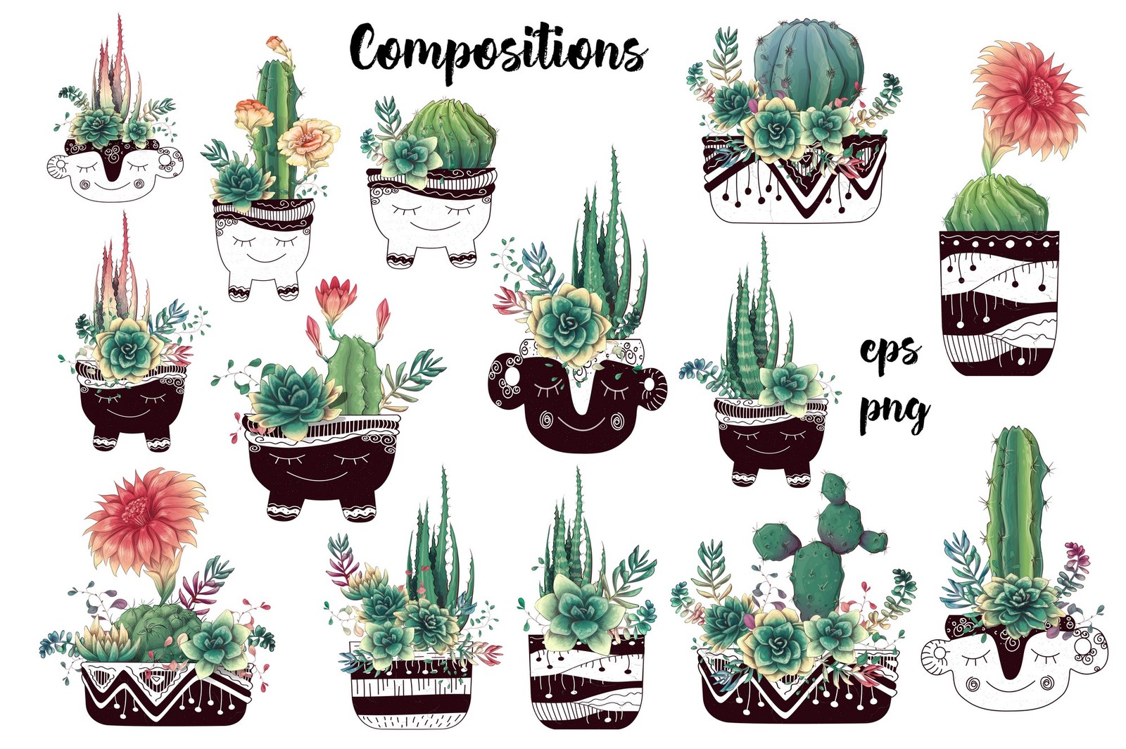 Cacti & Succulents Cacti & Succulents