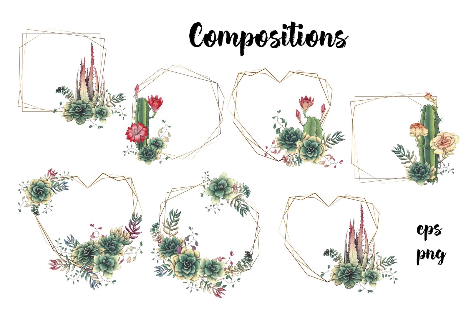 Cacti & Succulents Cacti & Succulents