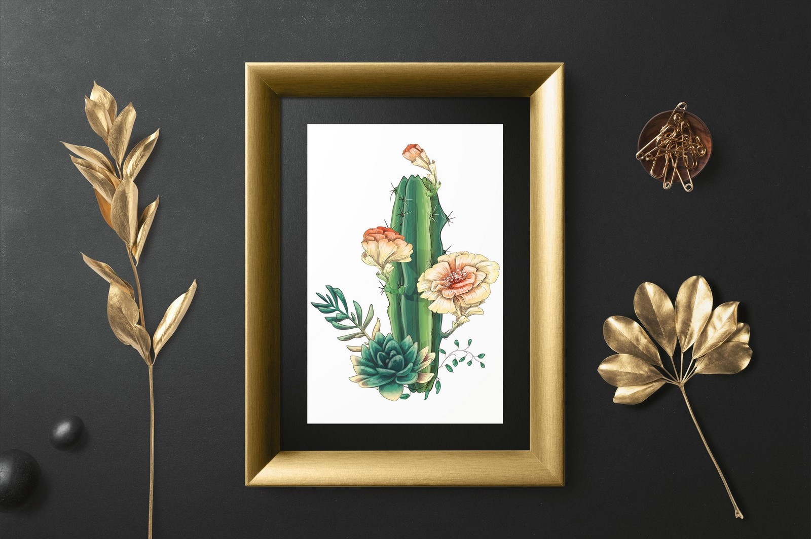 Cacti & Succulents Cacti & Succulents