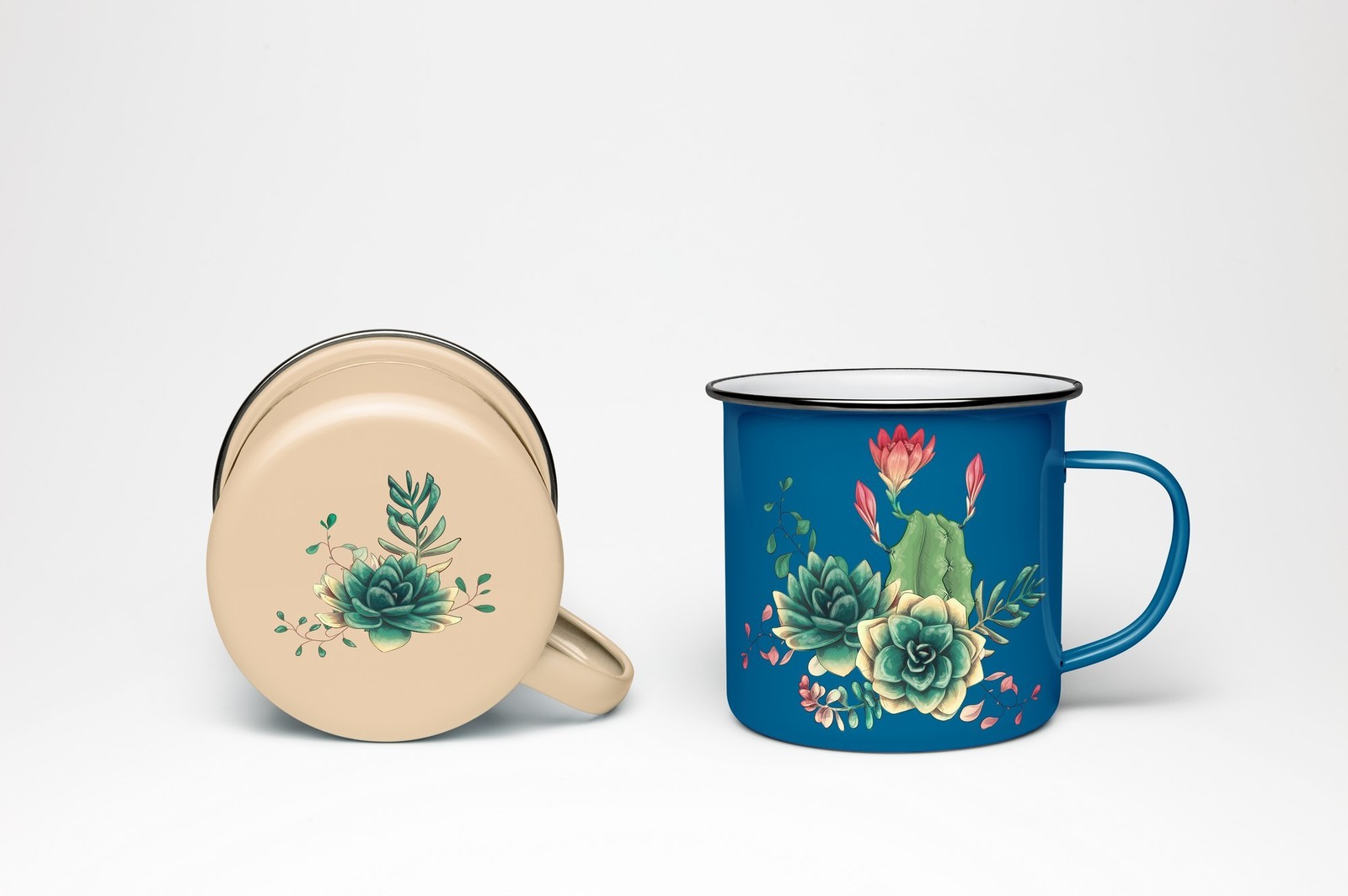 Cacti & Succulents Cacti & Succulents