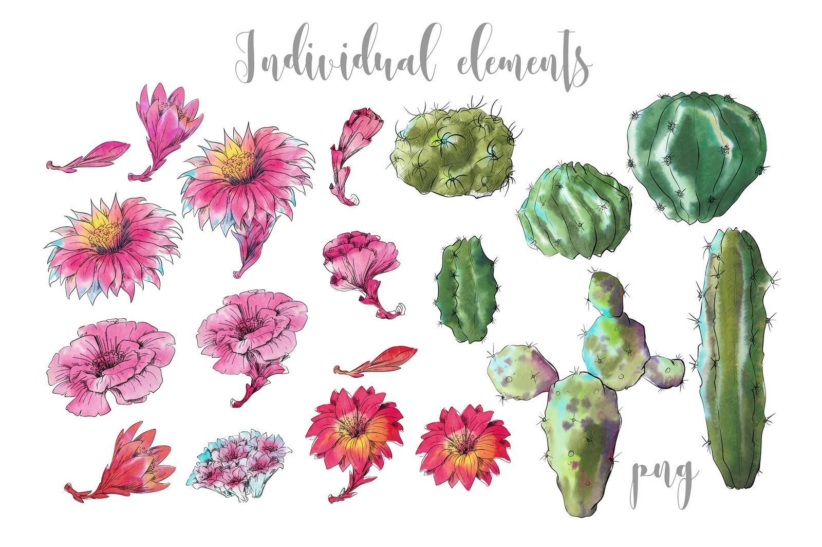Watercolor Cactus Creator + Pattern Watercolor Cactus Creator + Pattern