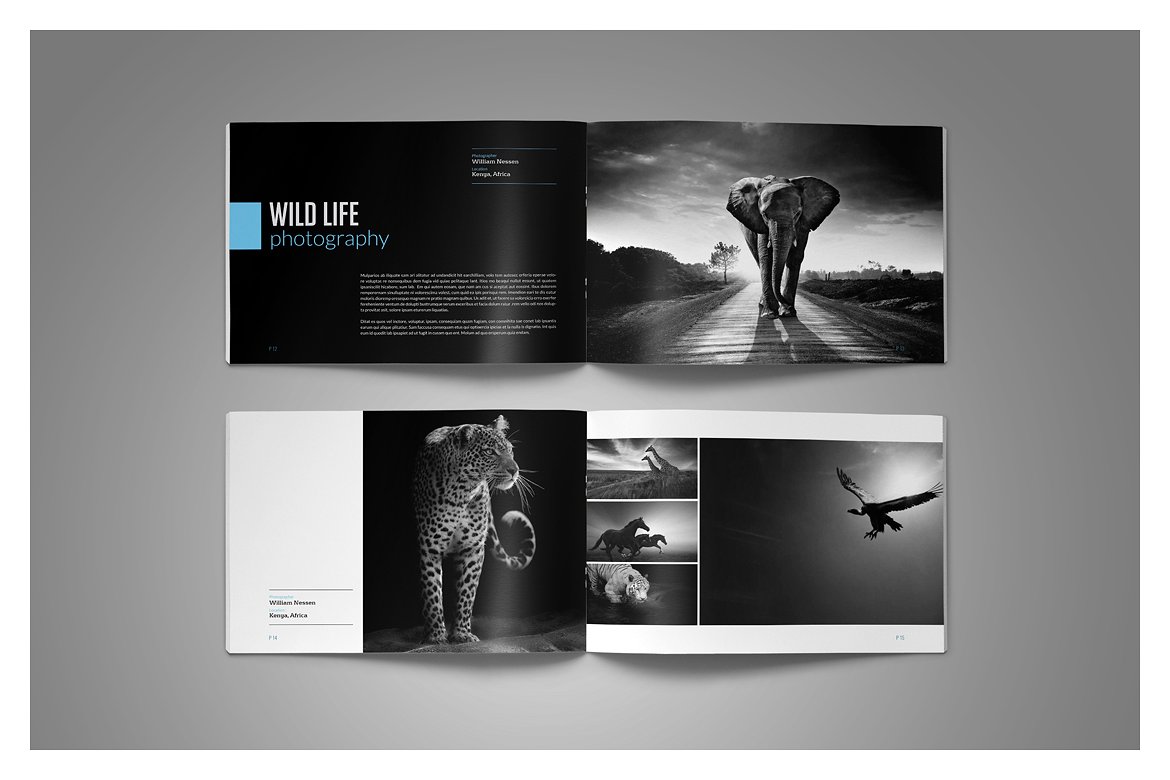 Photo Album Template Photo Album Template