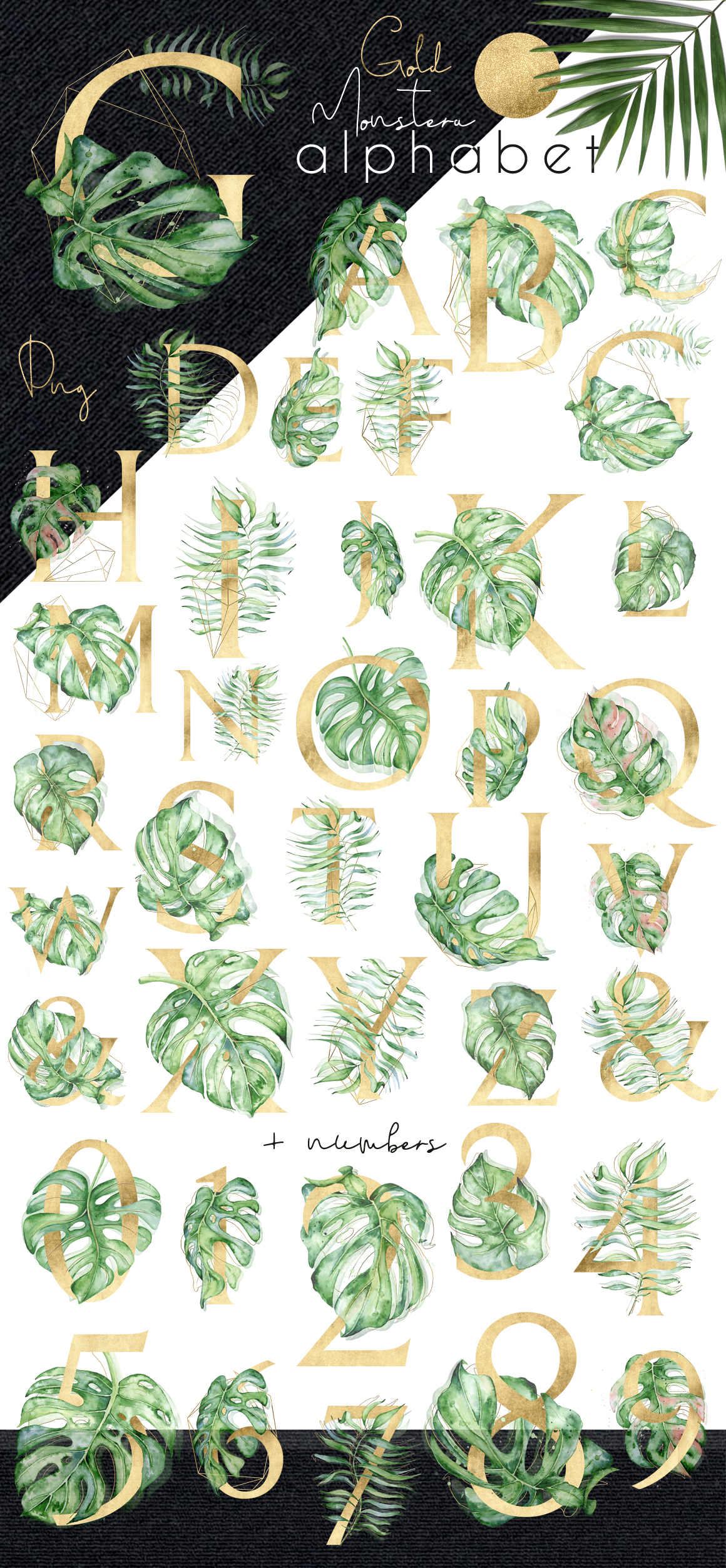 Gold Monstera - tropical leaves alphabet