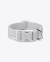 Nylon Dog Collar Mockup