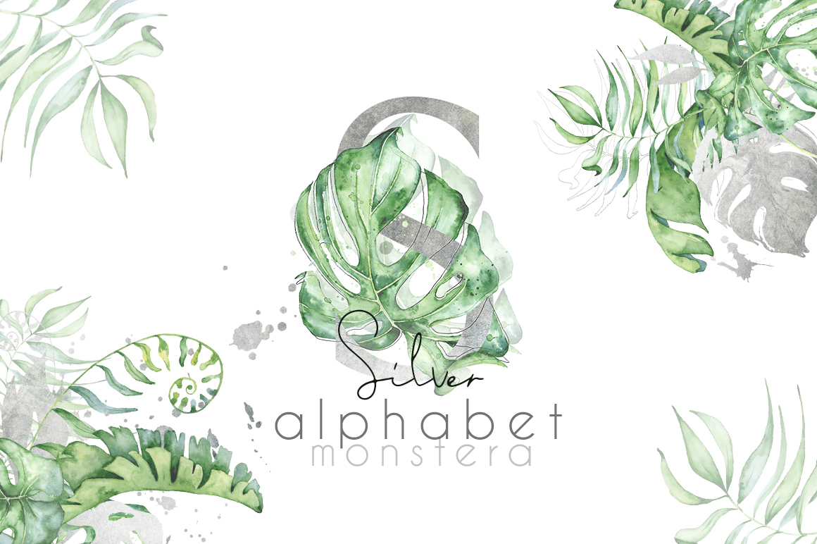 Silver Monstera - tropical alphabet