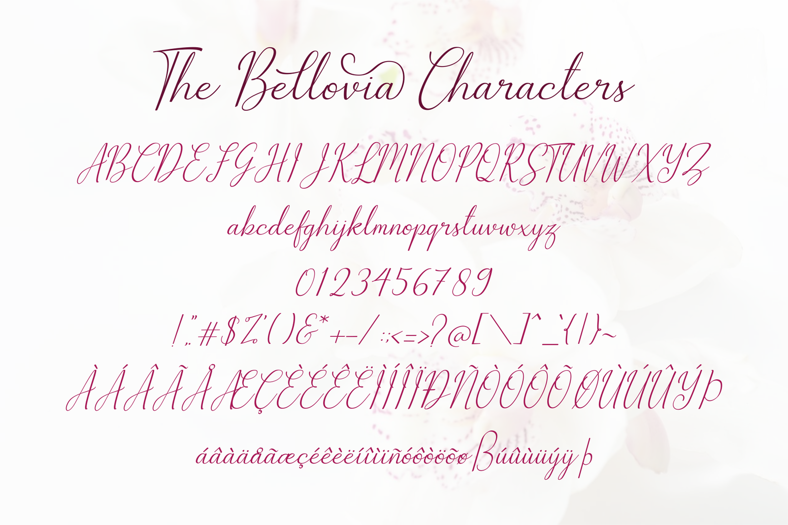 The Bellovia - Font Duo The Bellovia - Font Duo