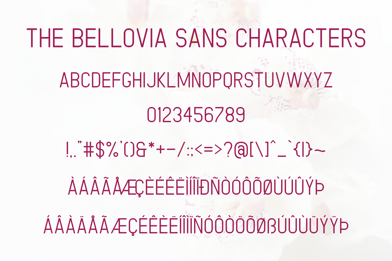 The Bellovia - Font Duo The Bellovia - Font Duo