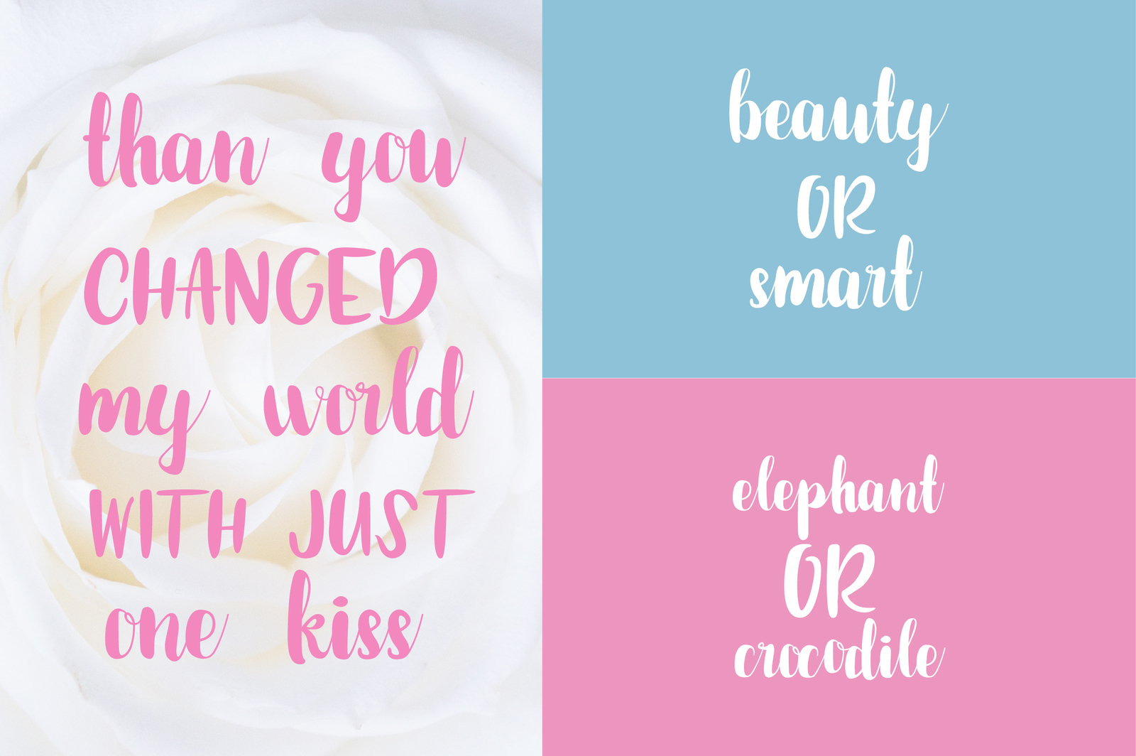 The Bettalia Font Duo The Bettalia Font Duo