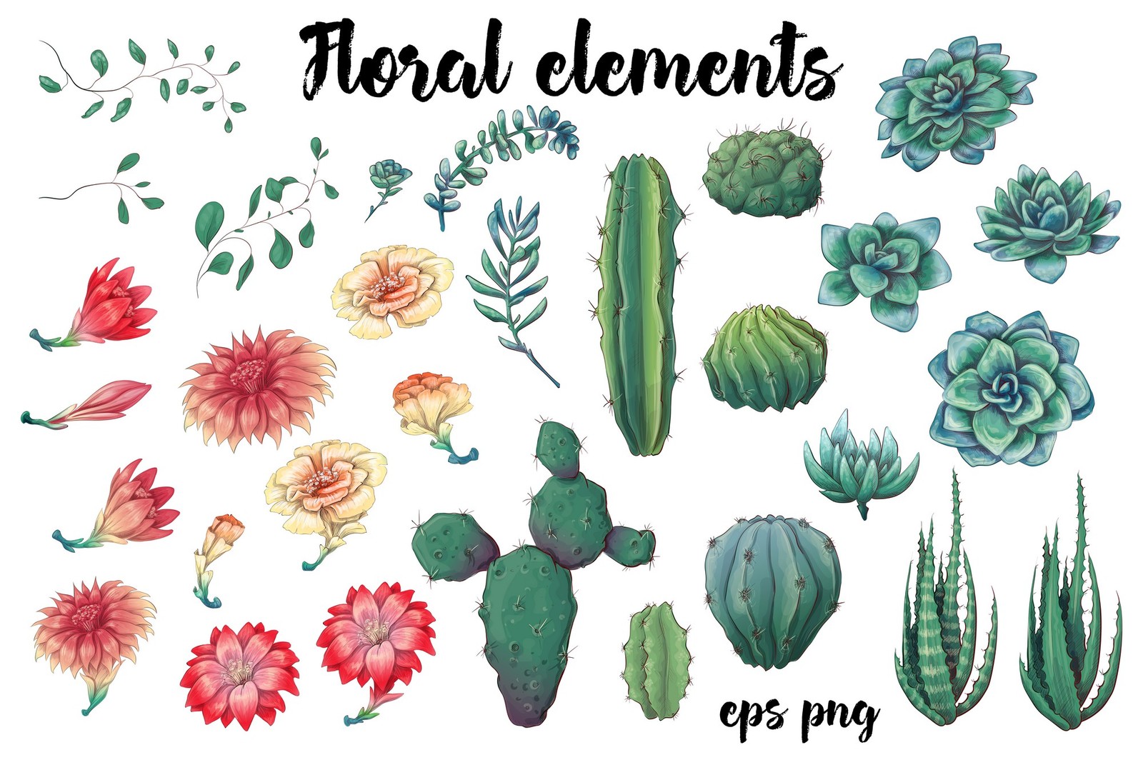 Succulents in green