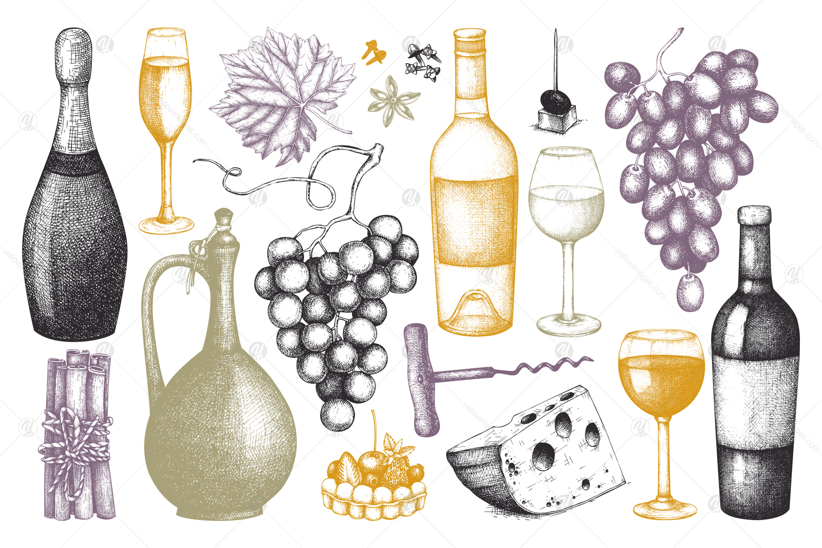 Red & White Wine Illustations Set Red & White Wine Illustations Set