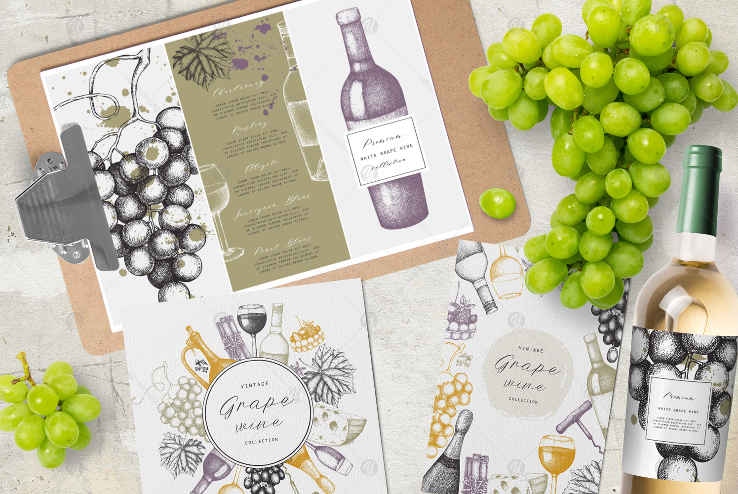 Red & White Wine Illustations Set Red & White Wine Illustations Set