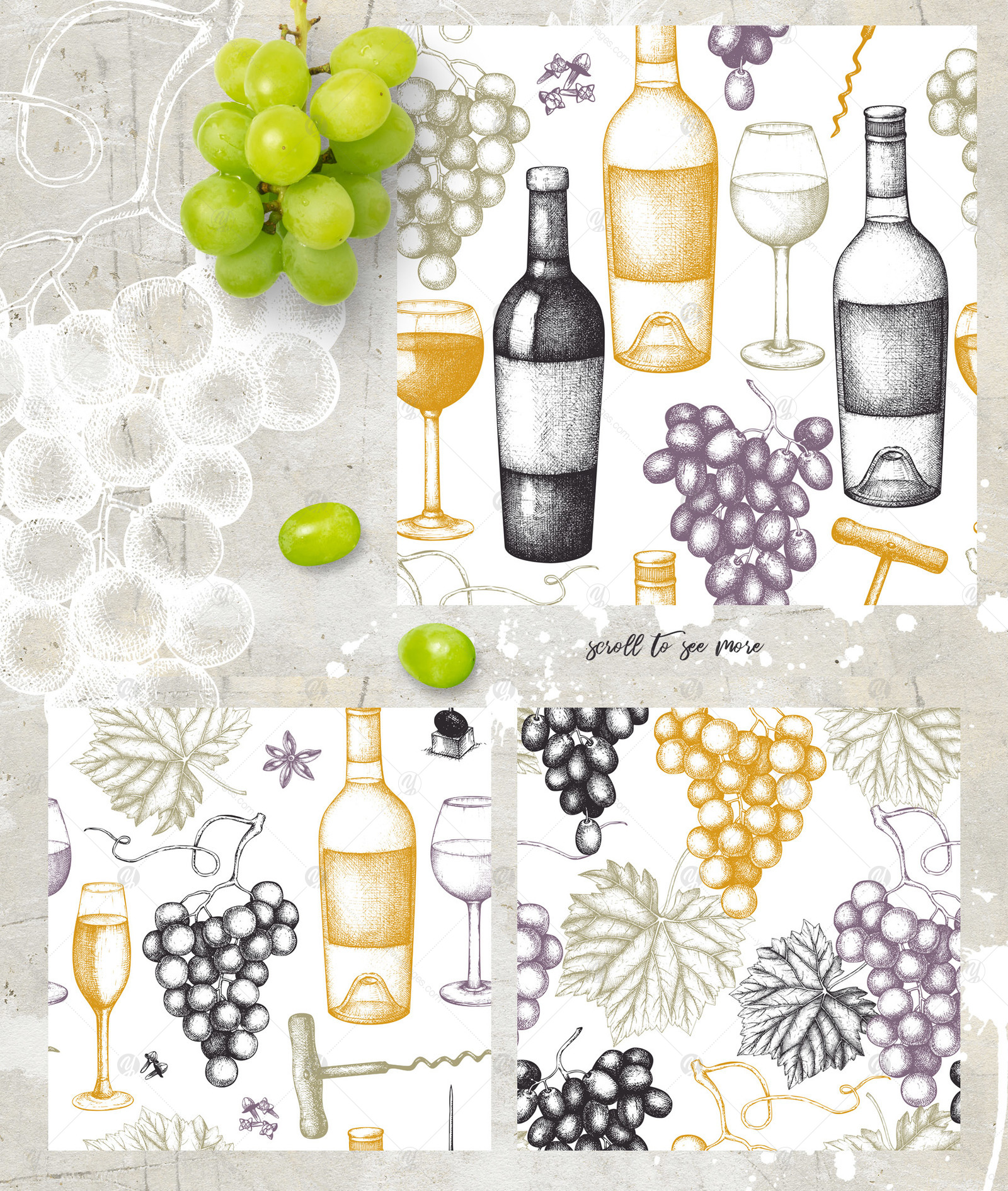 Red &amp; White Wine Illustations Set