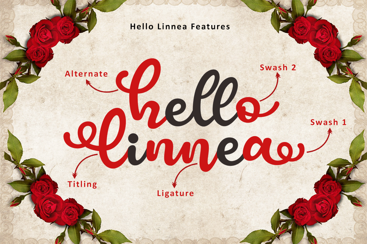 Hello Lonnea