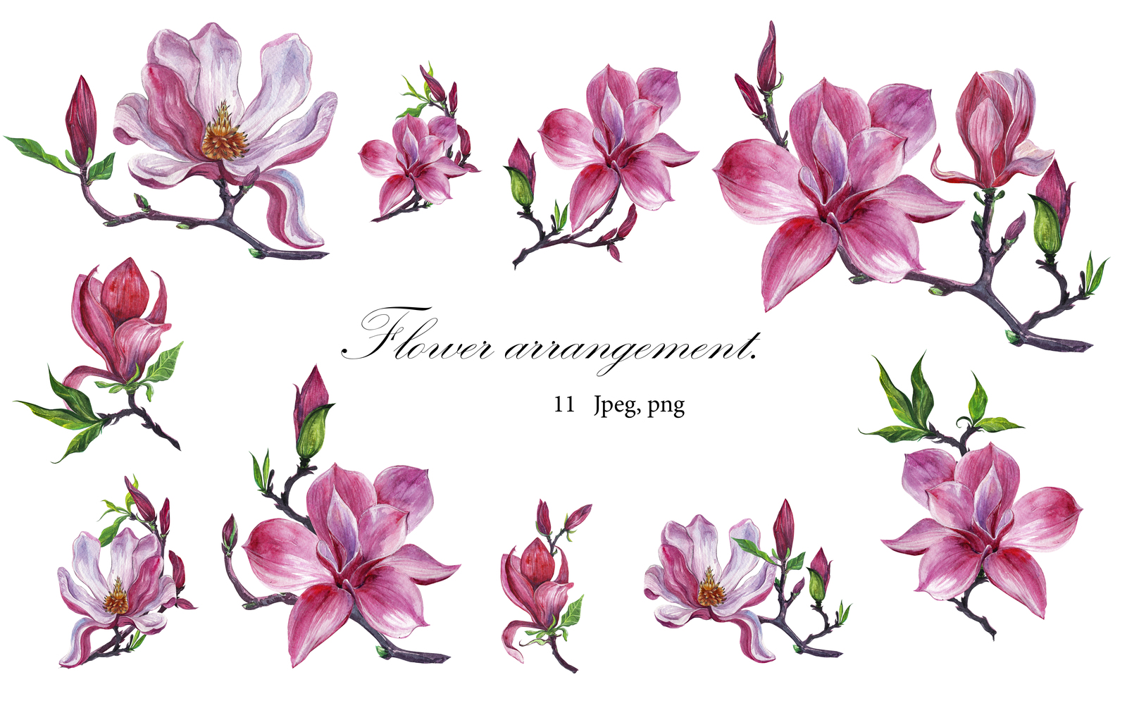 watercolor set Magnolia