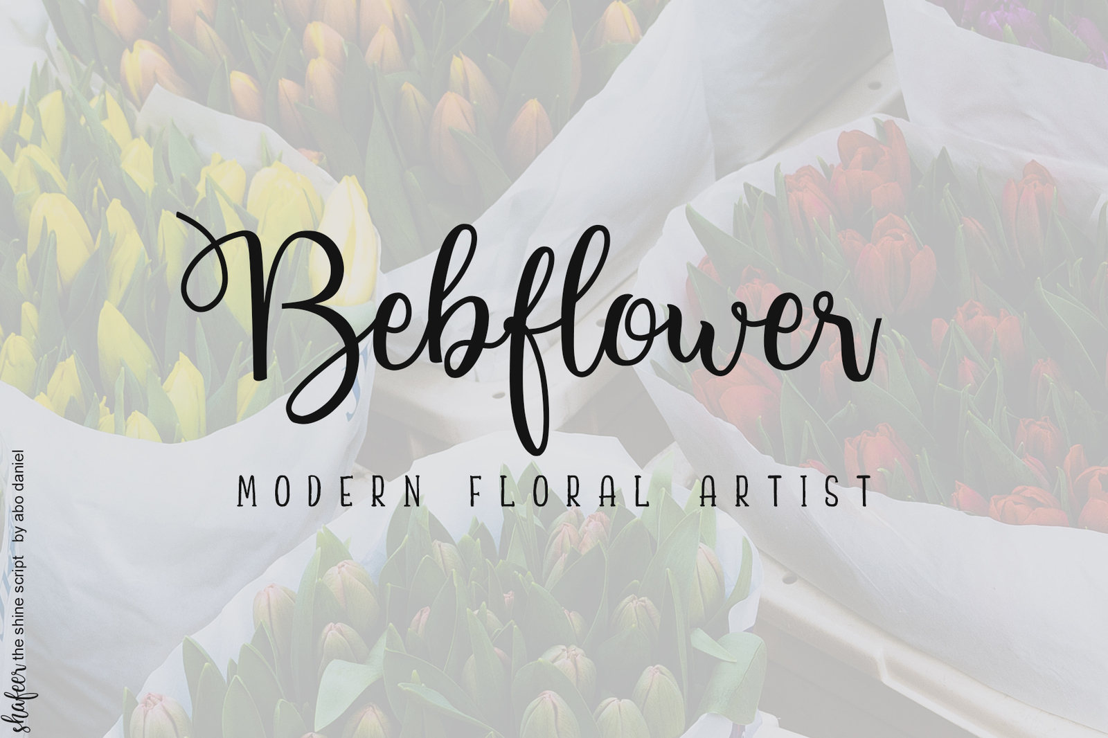 Shafeer -Perfect Font Duo-