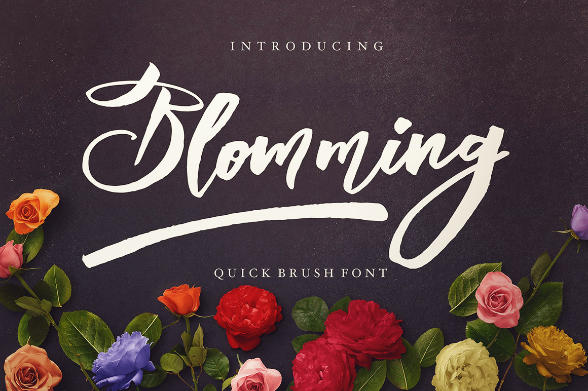 Blomming - Brush Font Blomming - Brush Font