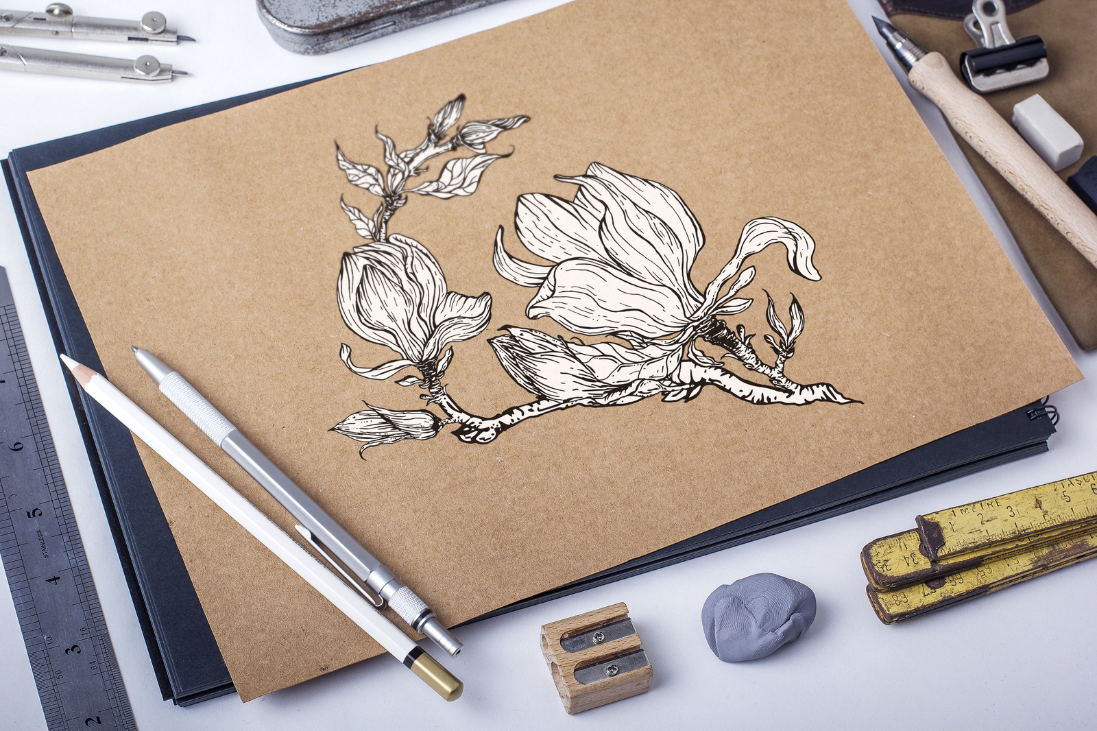 Graphic floral Magnolia elements for design