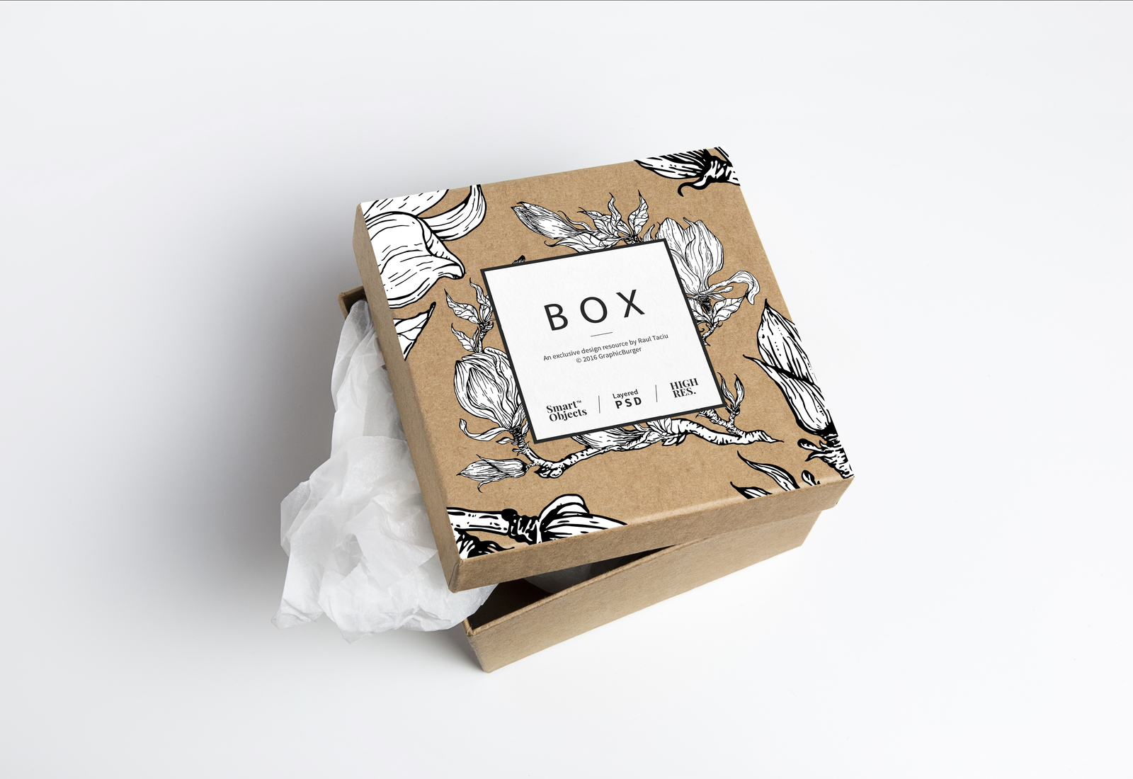 Graphic floral Magnolia elements for design