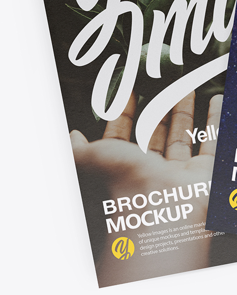 Two Textured Brochures Mockup