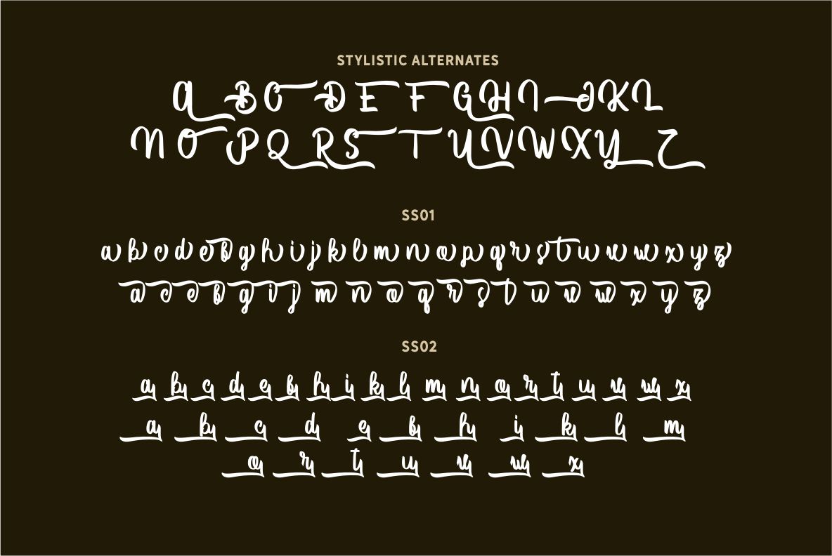 Vector Type Vector Type
