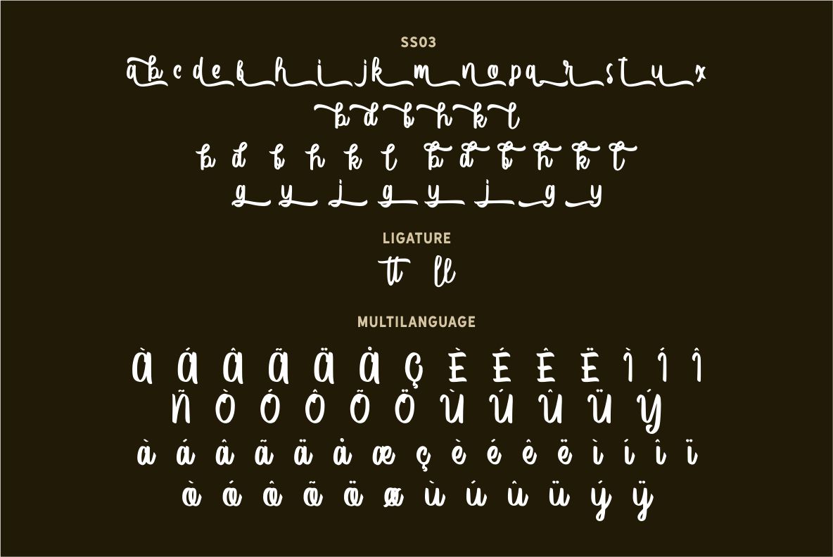 Vector Type Vector Type