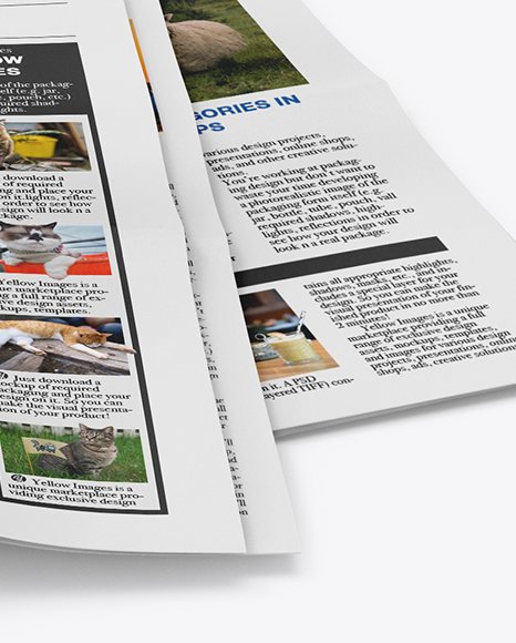 Newspaper Mockup