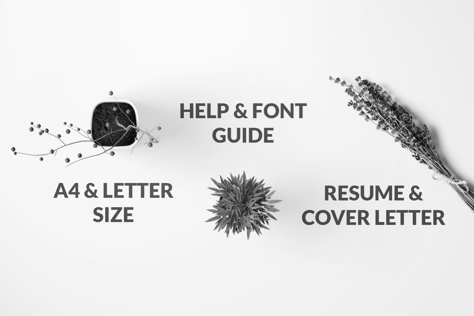 Resume/CV Template - William Resume/CV Template - William