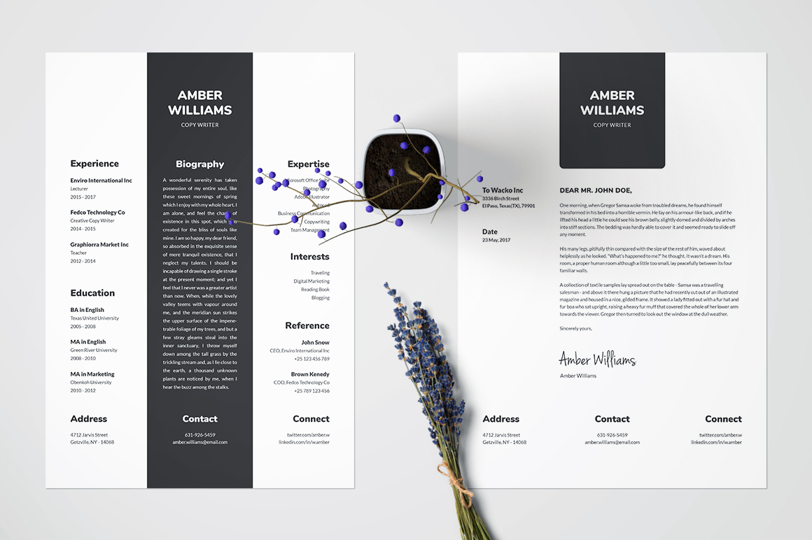 Resume/CV Template - Amber