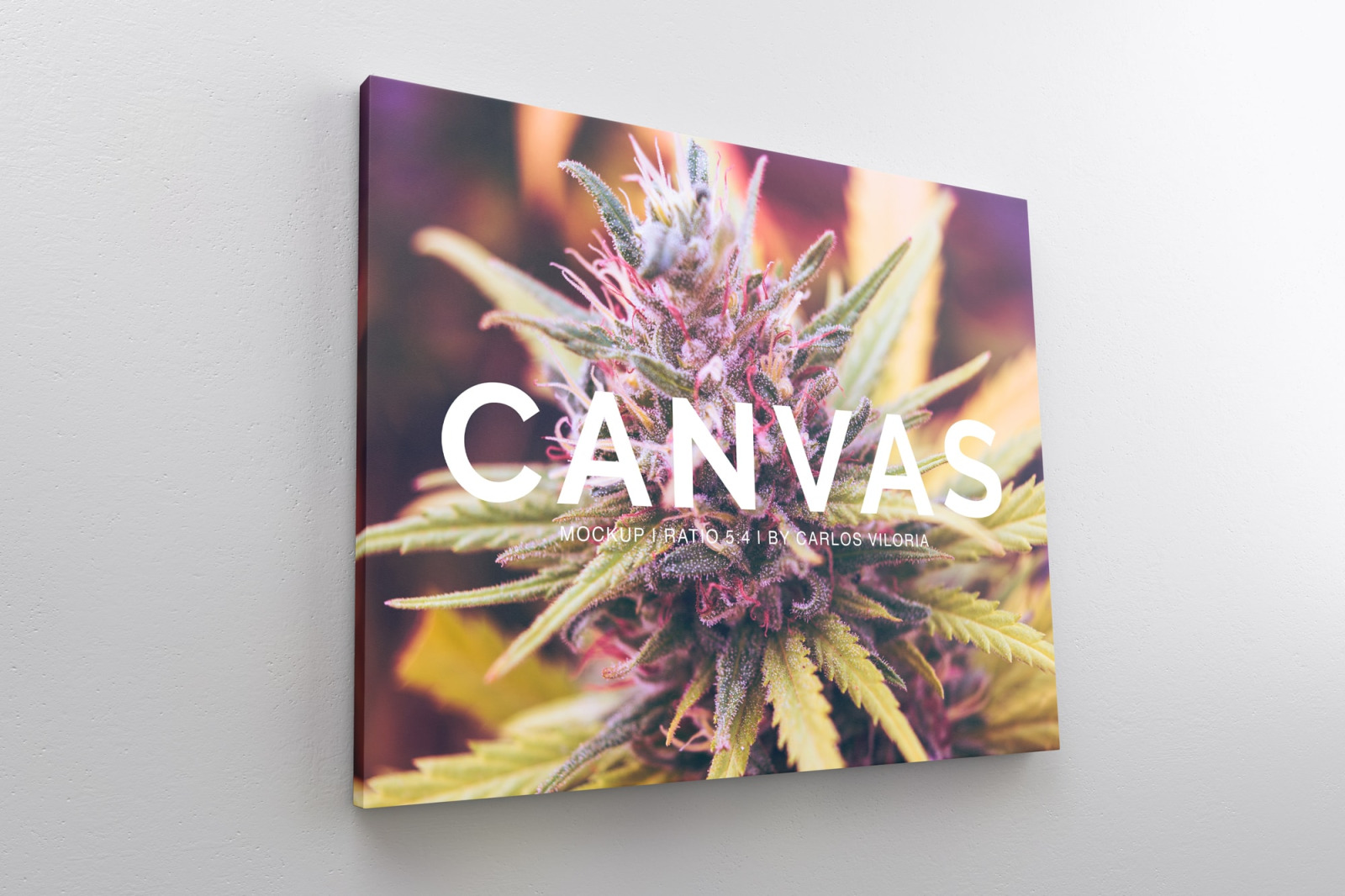 Landscape Canvas Ratio 5x4 Mockup 01