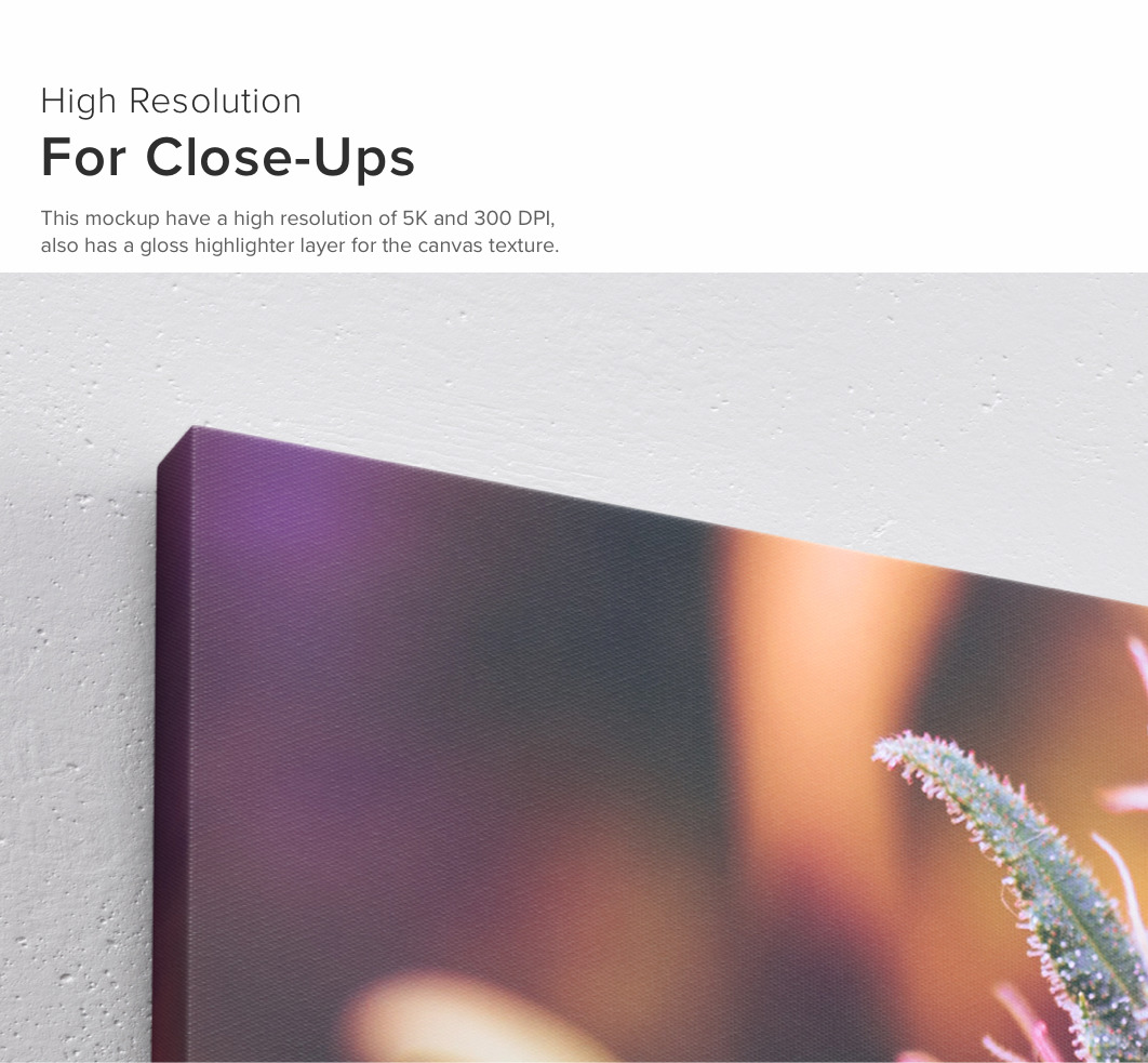 Landscape Canvas Ratio 5x4 Mockup 01 Landscape Canvas Ratio 5x4 Mockup 01