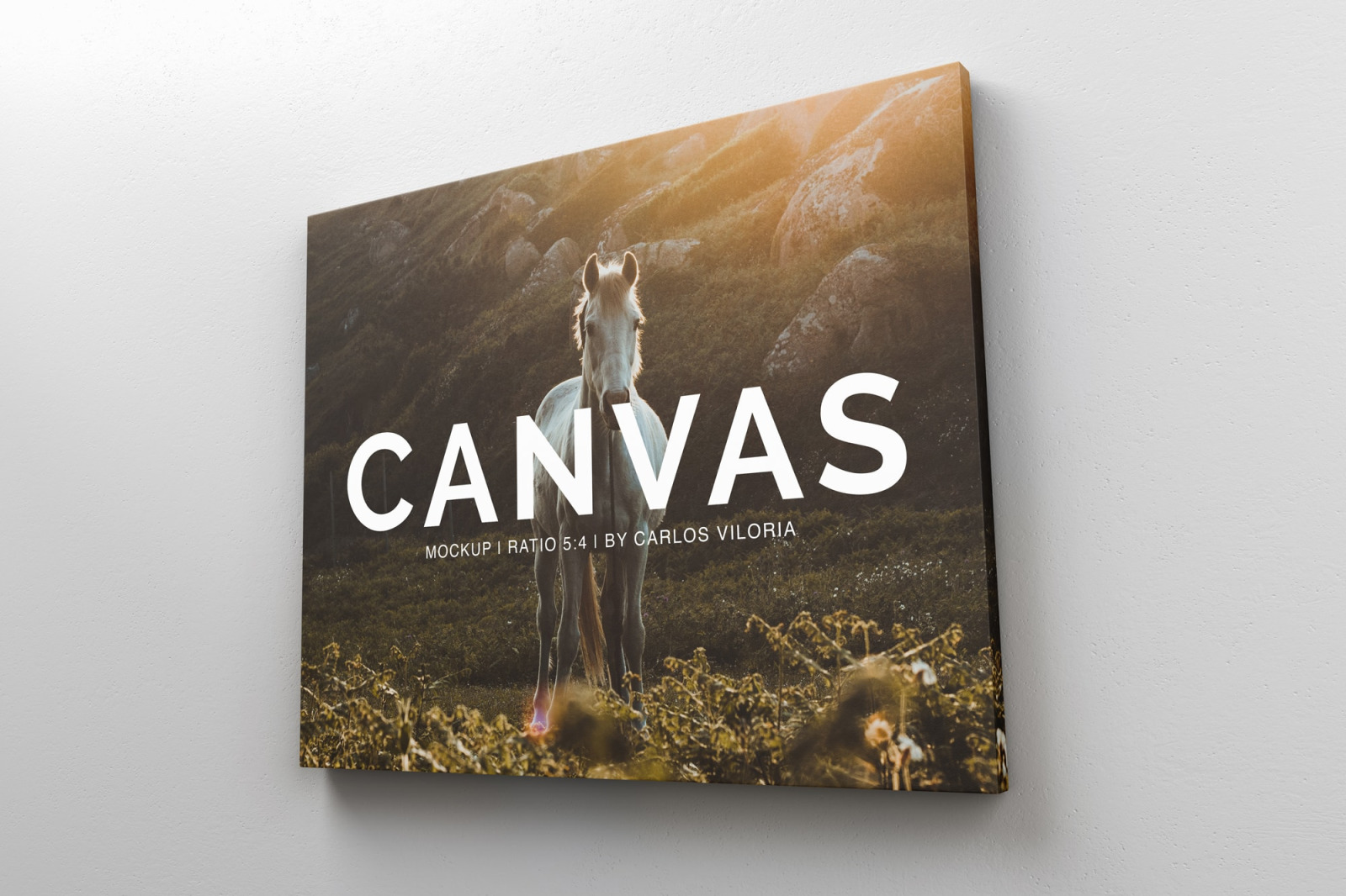 Landscape Canvas Ratio 5x4 Mockup 02