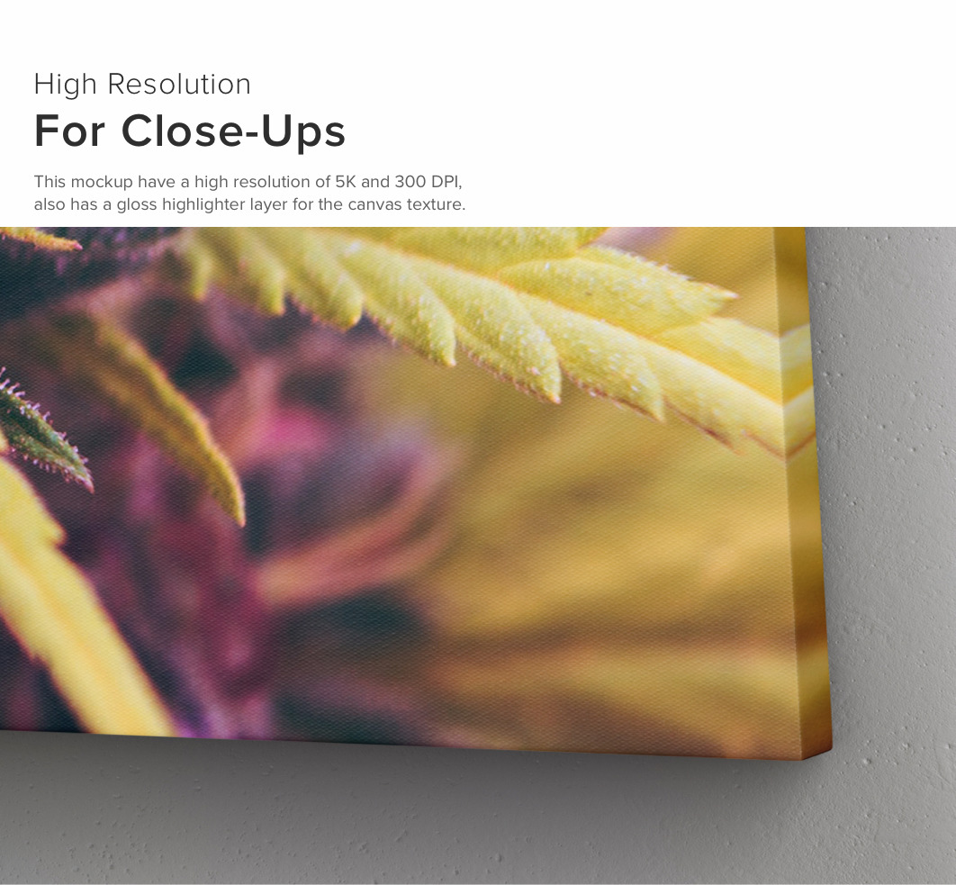 Landscape Canvas Ratio 5x4 Mockup 02