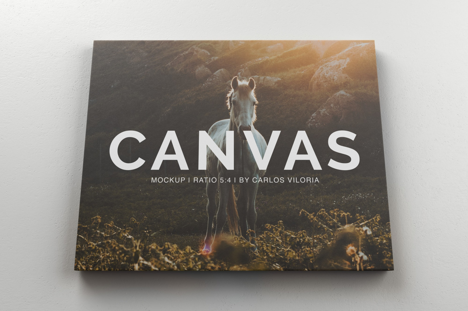 Landscape Canvas Ratio 5x4 Mockup 03 Landscape Canvas Ratio 5x4 Mockup 03