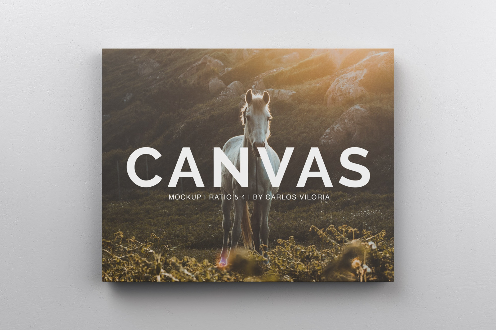 Landscape Canvas Ratio 5x4 Mockup 04