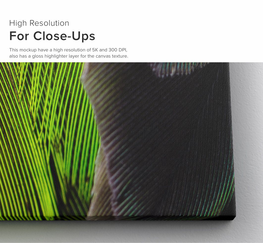 Portrait Canvas Ratio 4x5 Mockup 01 Portrait Canvas Ratio 4x5 Mockup 01