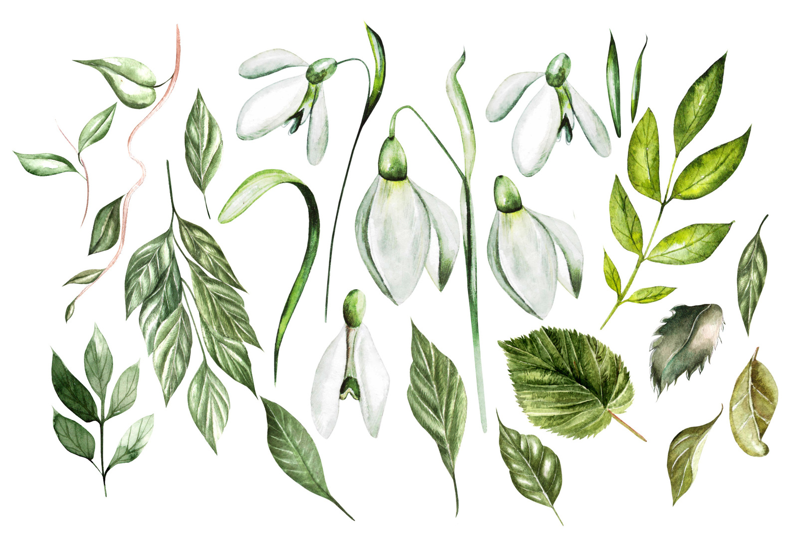 Watercolor SPRING FLOWERS Watercolor SPRING FLOWERS