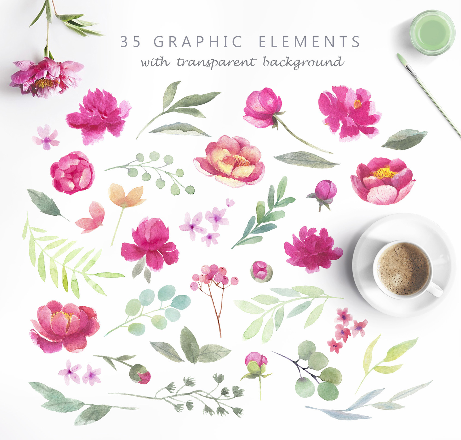 More Peonies Flower Graphic Set