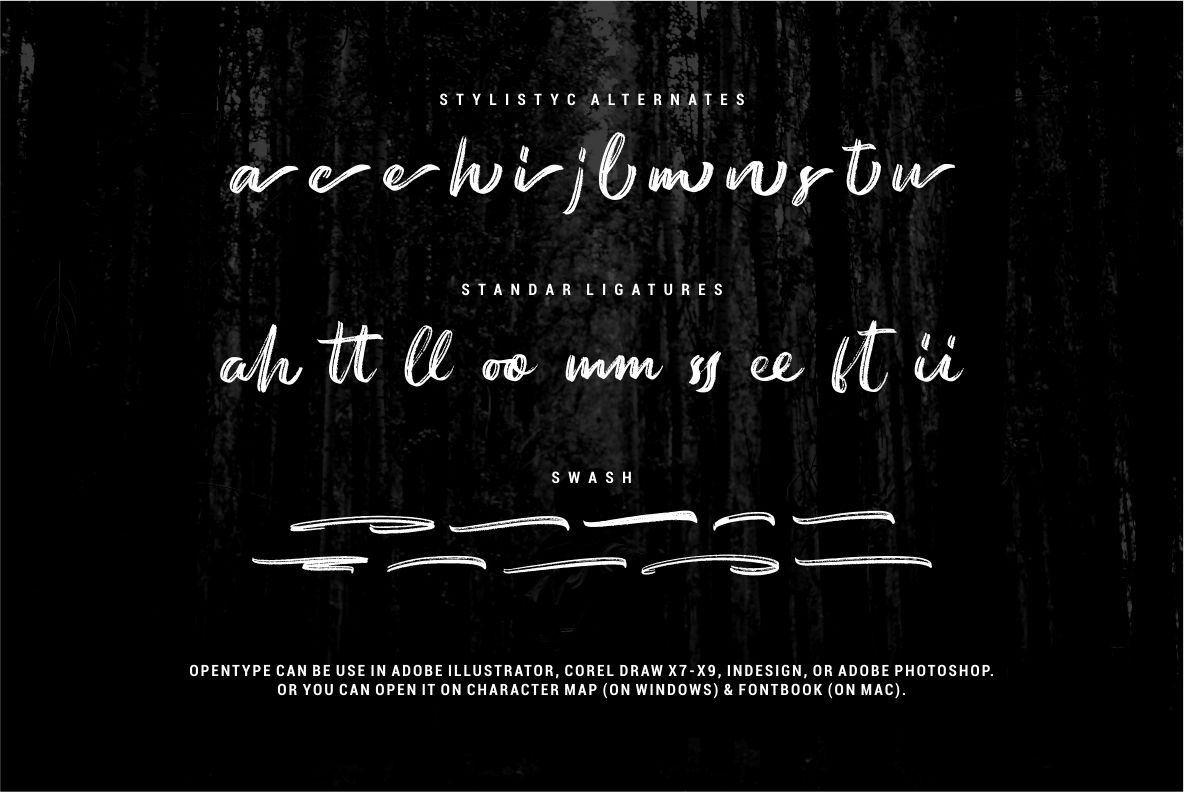 Austellia - Handbrush Font