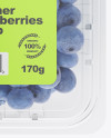 Container w/ Blueberries Mockup