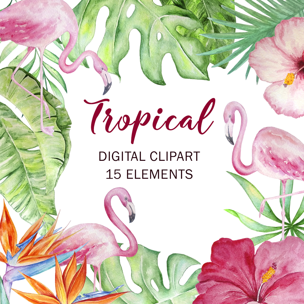 Tropical Watercolor Set Clipart