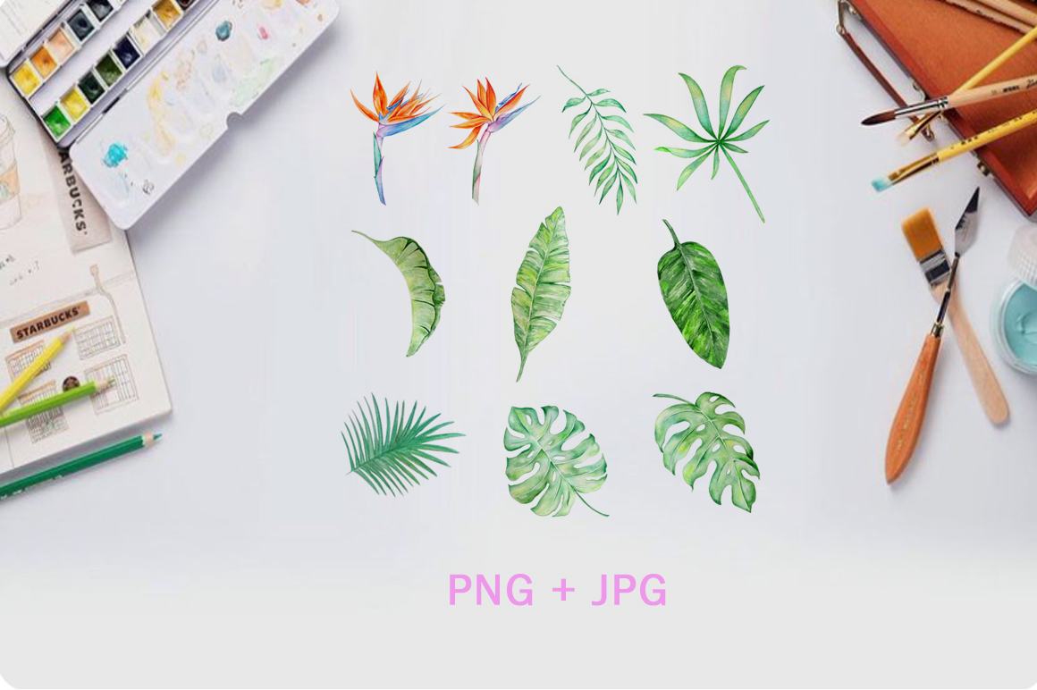 Tropical Watercolor Set Clipart Tropical Watercolor Set Clipart