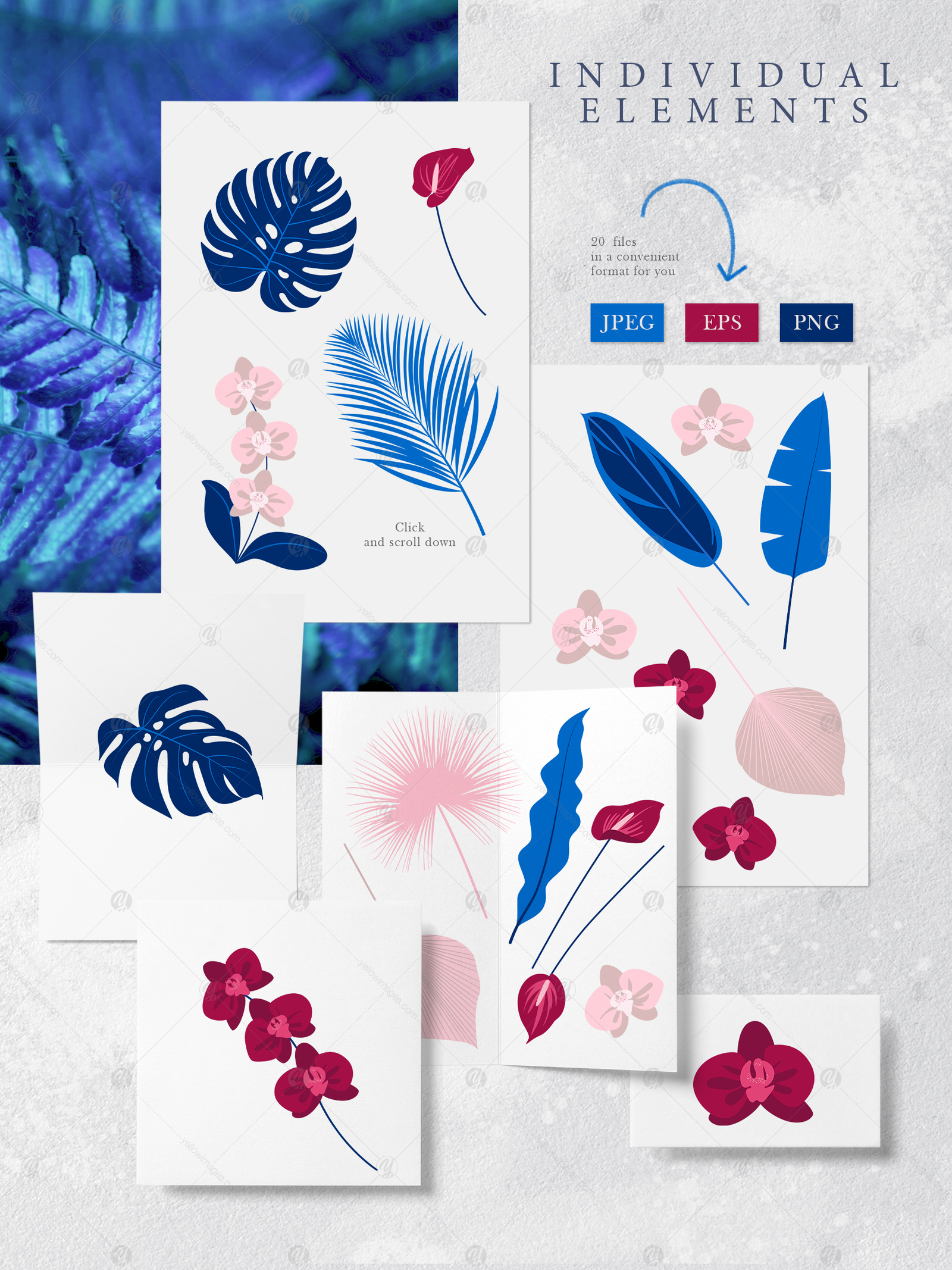Abstract tropics Collection Abstract tropics Collection