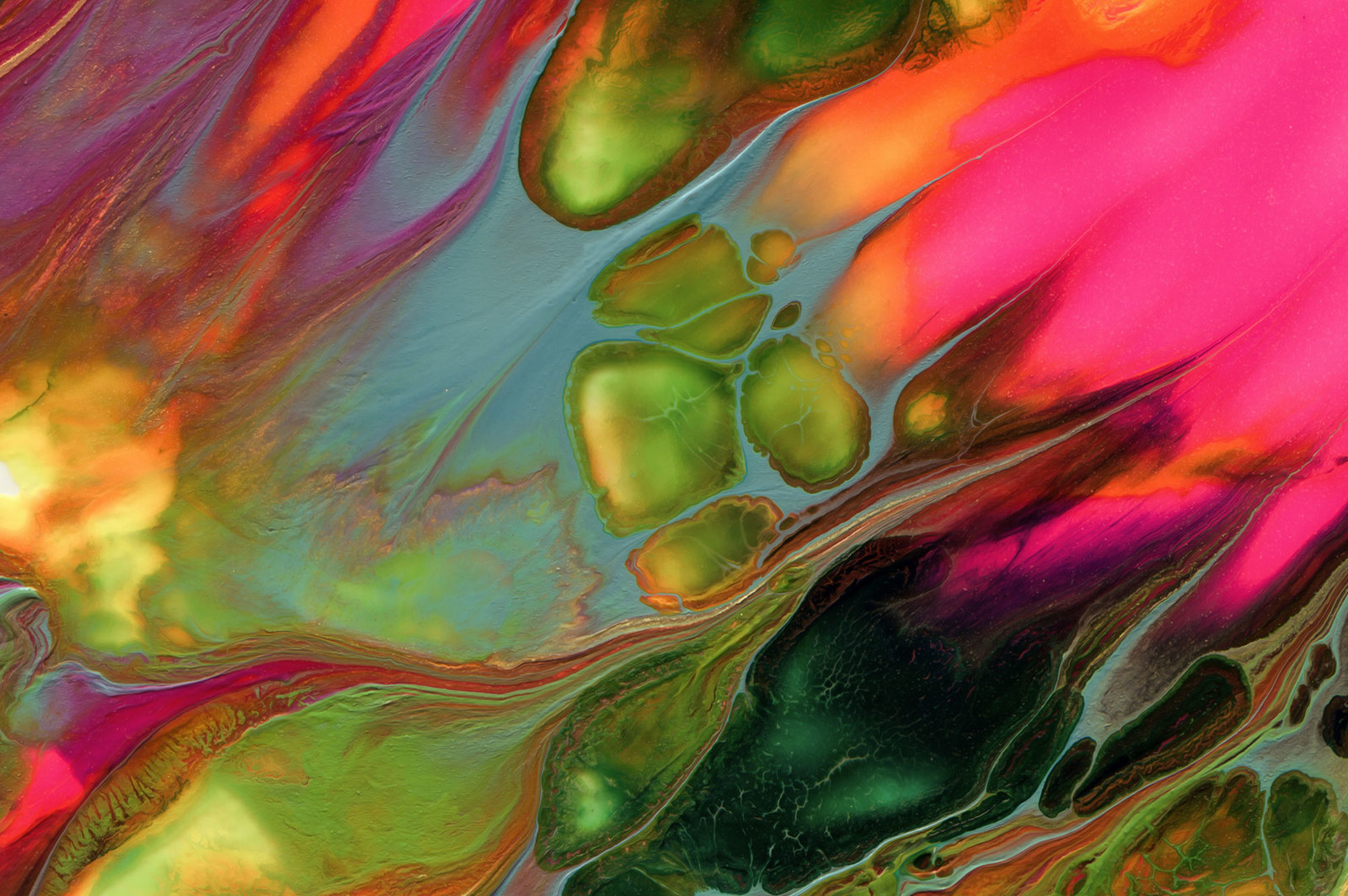 Fluid Paint Bundle: 45 Abstract Paintings Fluid Paint Bundle: 45 Abstract Paintings