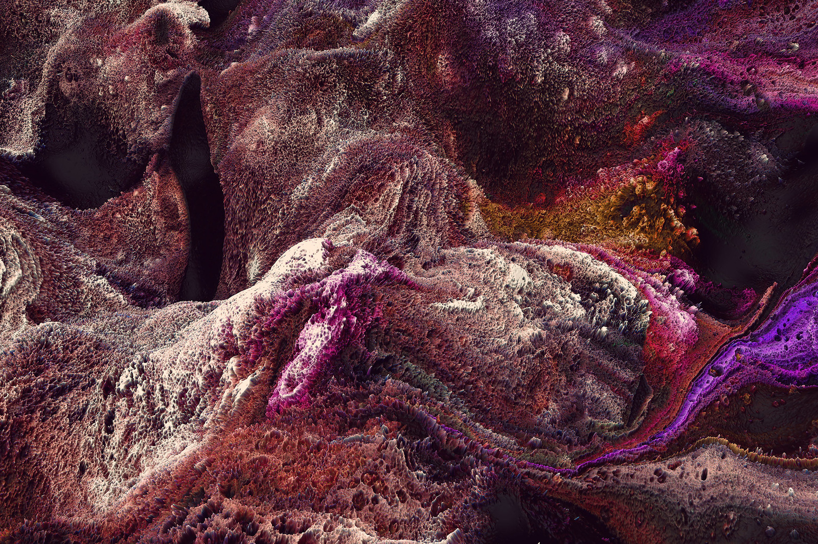 Terrain, Vol. 1: Abstract 3D Landscapes