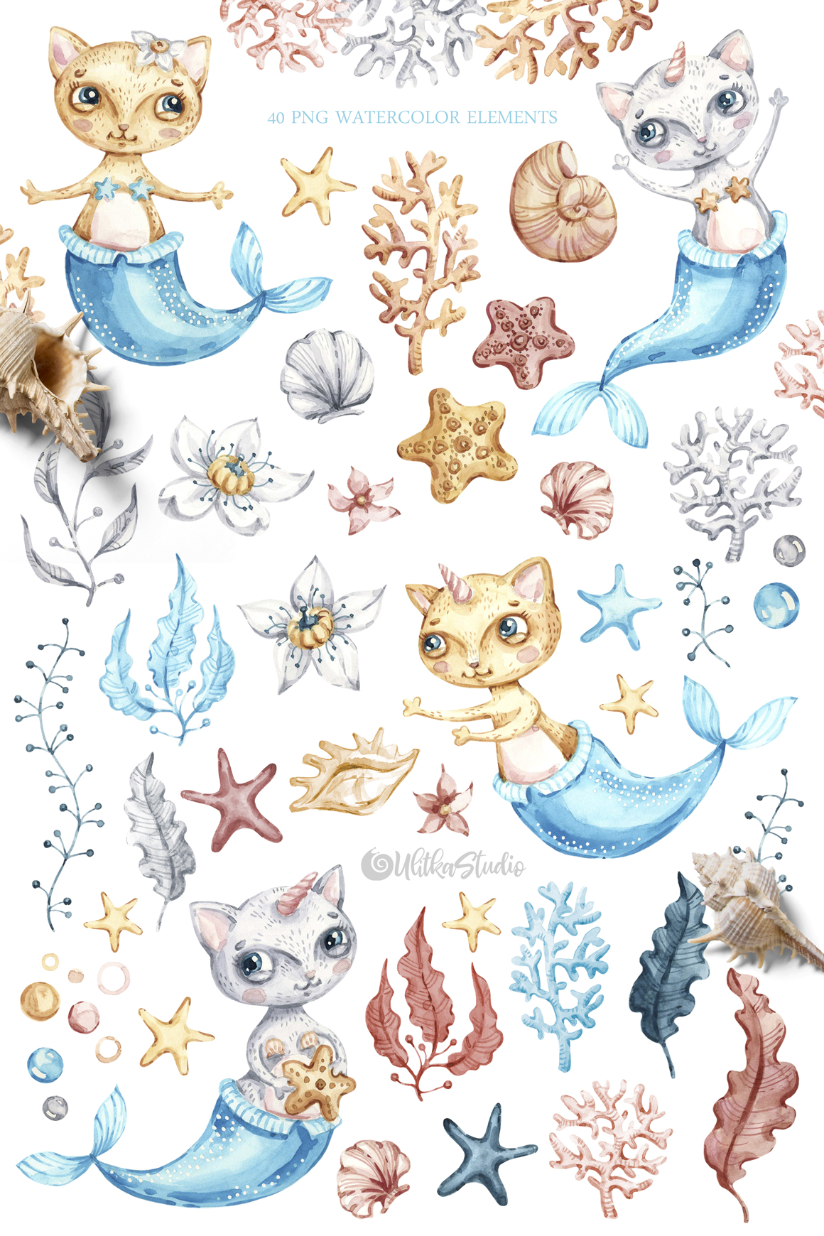 Watercolor cute mermaid cat clipart. Nautical underwater clip art. Seashells clip art.