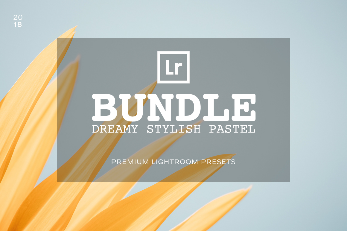 Bundle Lightroom Presets Bundle Lightroom Presets